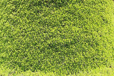 《空洞骑士：丝之歌》Steam特别好评 同时在线玩家破53万